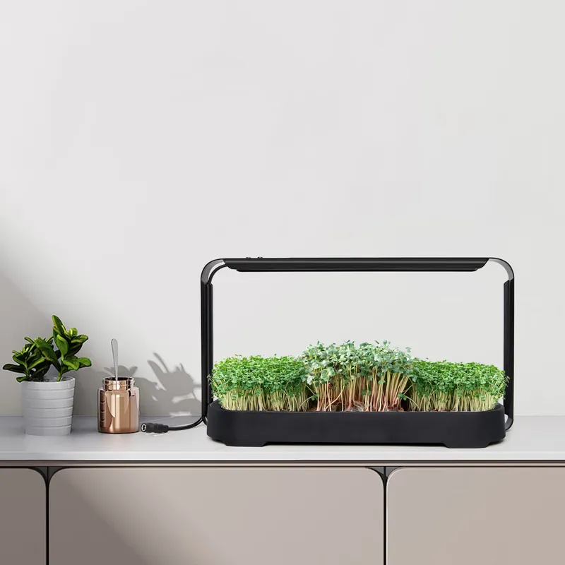 Indoor Garden Kit - Mikro yeşillikler için kendi kendine sulanan