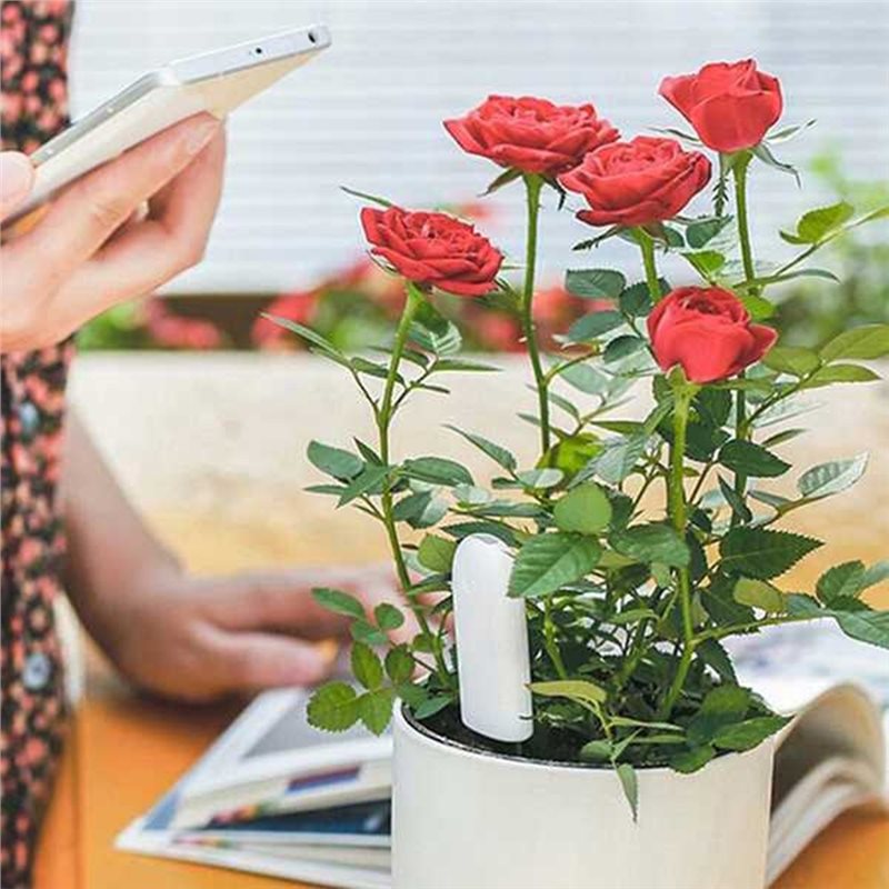 Plant Monitor - ABVG-Flora Akıllı Çiçek Monitörü, Bahçe Bakım