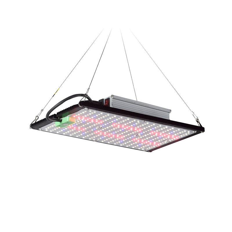 LED Kuantum Panel Bitki Yetişt - Plant Grow Light Full Spectrum incelemesi ve fiyatı