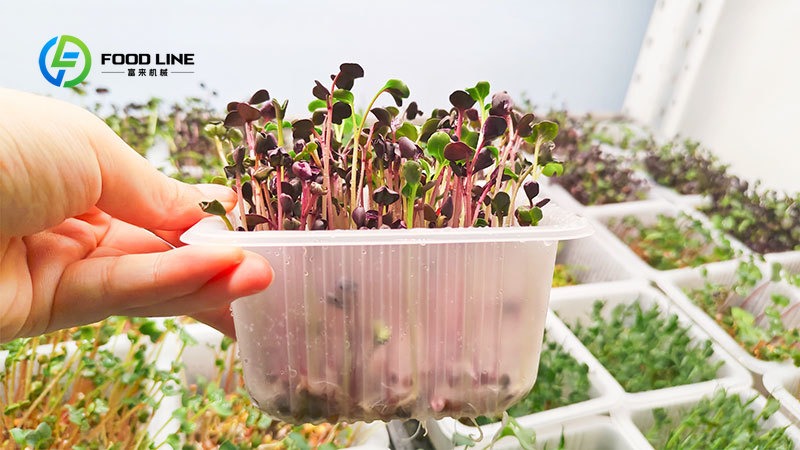 Akıllı Hidroponik 20Ft/40Ft Na - Hydroponic Tower incelemesi ve fiyatı