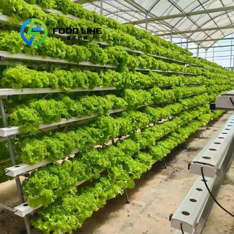 Akıllı Hidroponik 20Ft/40Ft Na - Hydroponic Tower incelemesi ve fiyatı