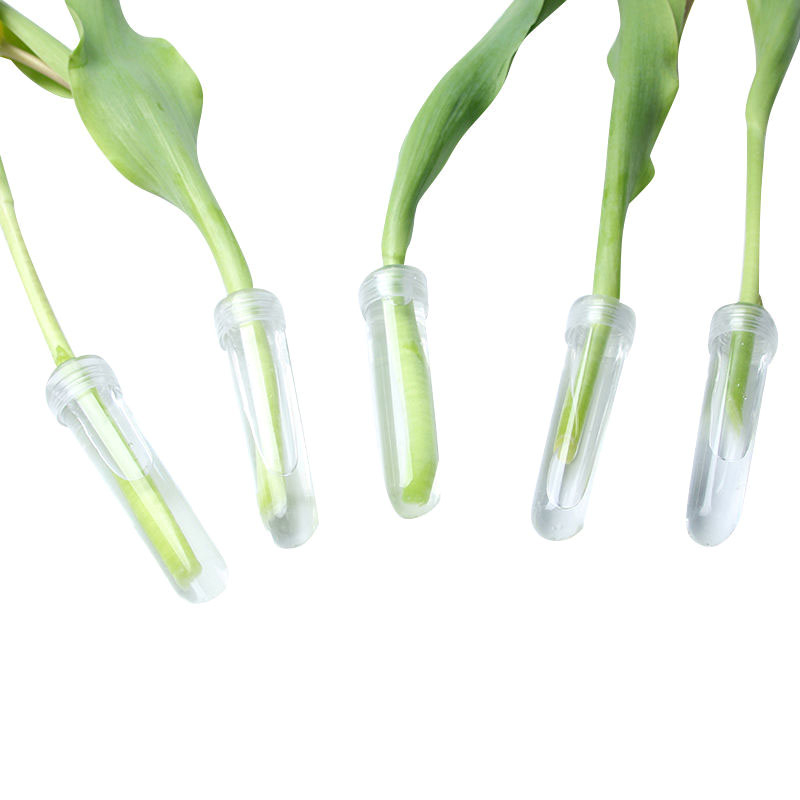 Kap ile 20 adet plastik taze ç - Hydroponic Grow Pod incelemesi ve fiyatı