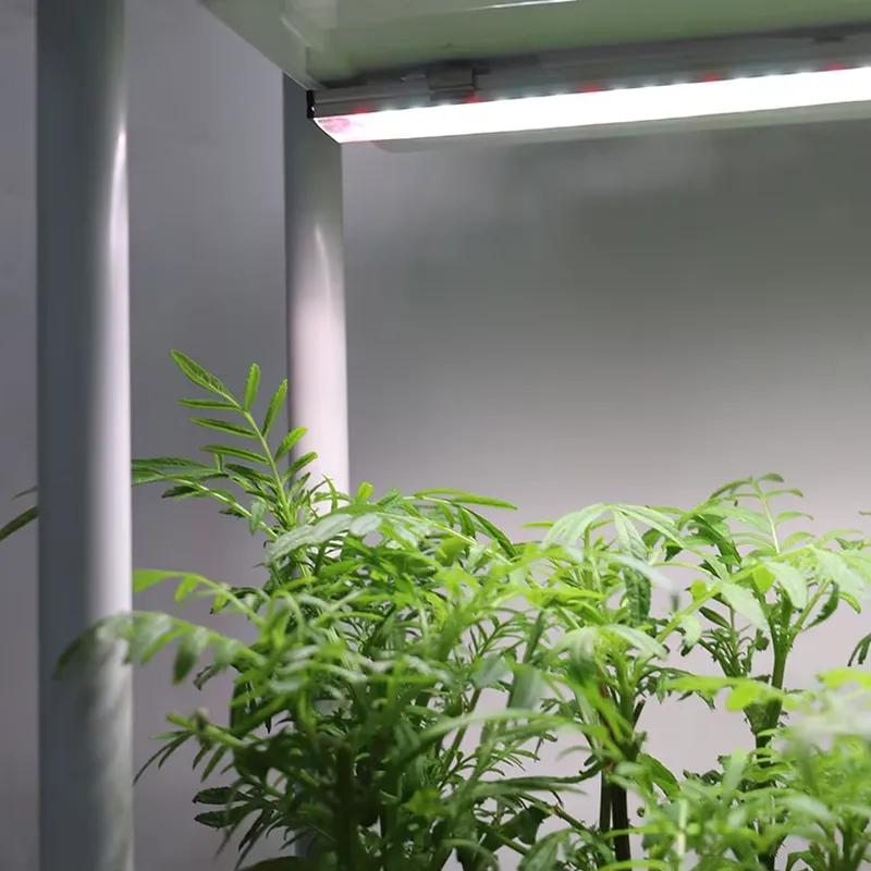 Hareketli Dikey 3 Katlı Kendi  - Smart Garden System incelemesi ve fiyatı
