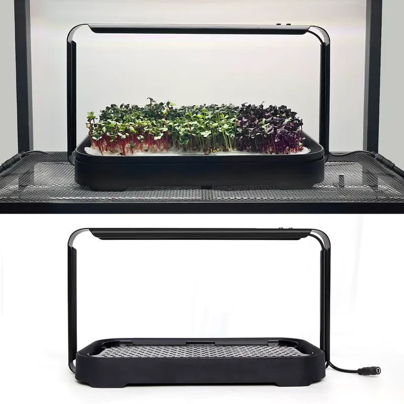 Mikro yeşillikler için kendi k - Indoor Garden Kit incelemesi ve fiyatı