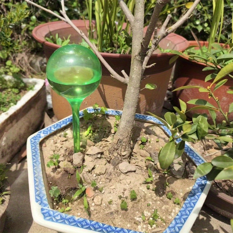 6 adet iç mekan bitkileri kend - Smart Garden Kit incelemesi ve fiyatı