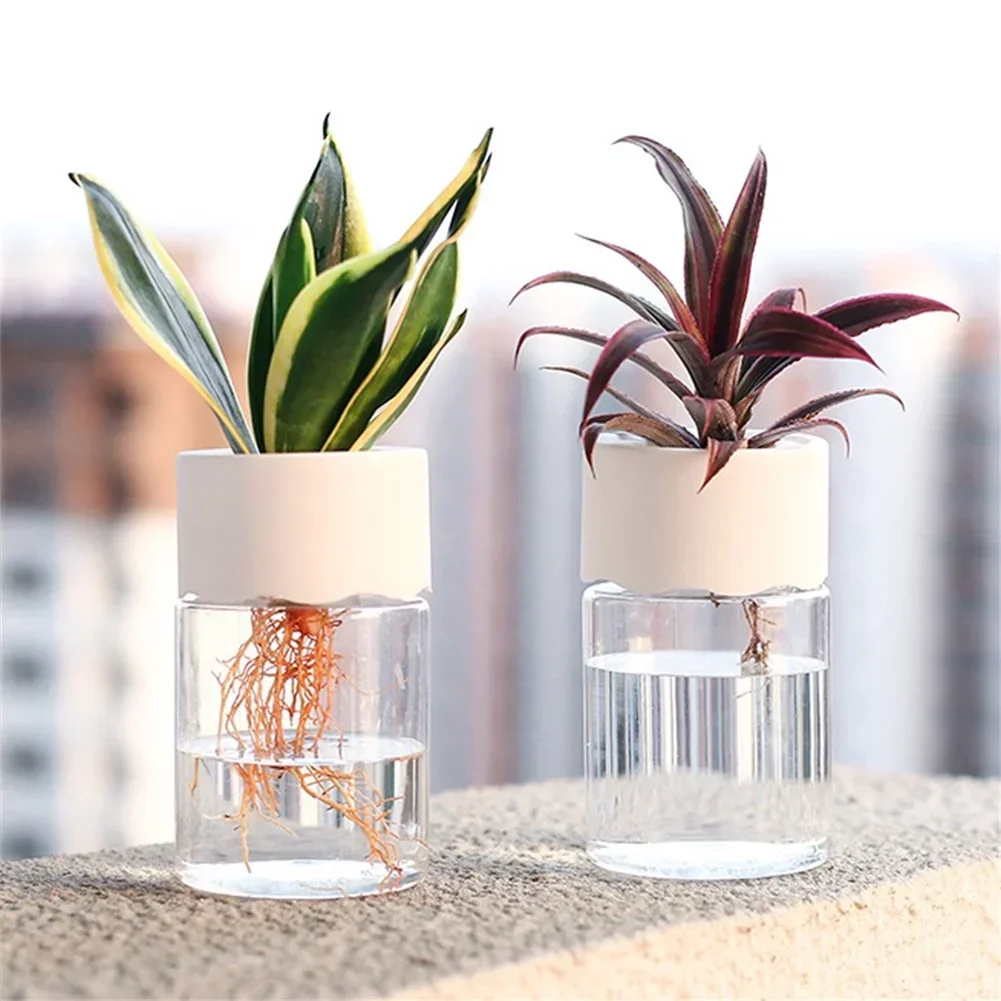 Mini Hidroponik Saksı Şeffaf T - Hydroponic Grow Pod incelemesi ve fiyatı