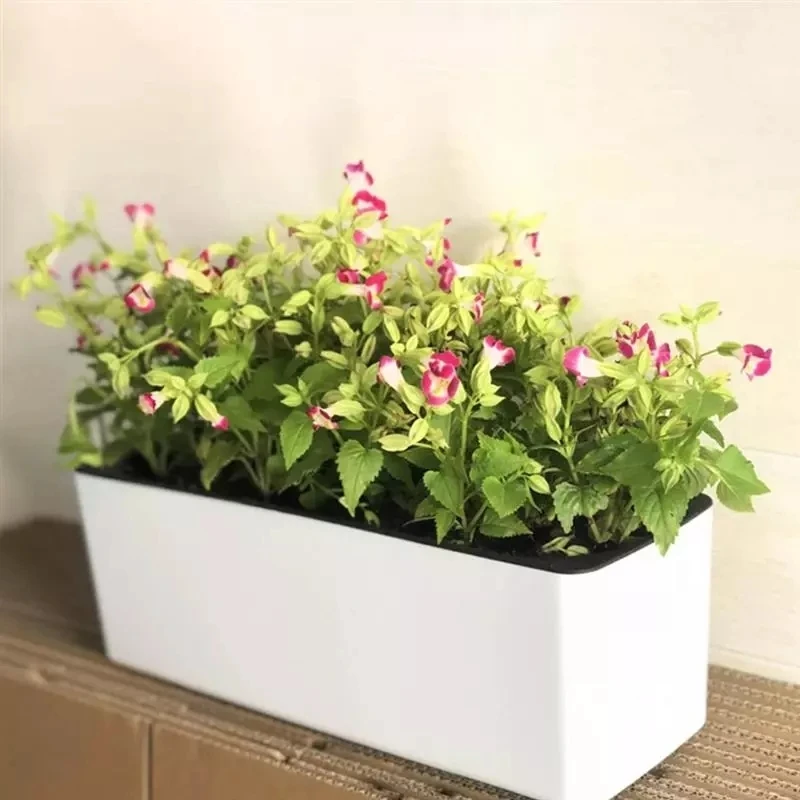 Dikdörtgen Tembel Saksı Saksı  - Hydroponic Grow Pod incelemesi ve fiyatı
