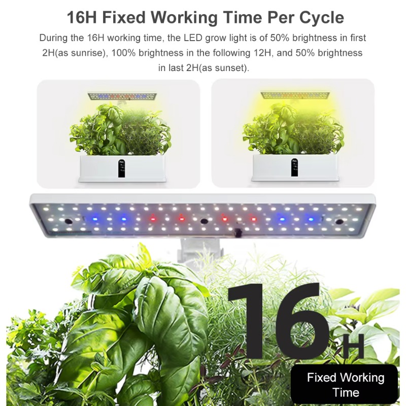 9 Bölmeli Akıllı Hidroponik Ye - Smart Garden System incelemesi ve fiyatı