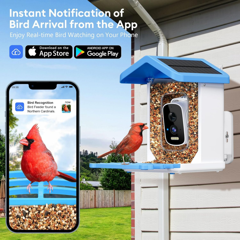 Kamera, Yapay Zeka Kuş Türleri - Garden Camera incelemesi ve fiyatı