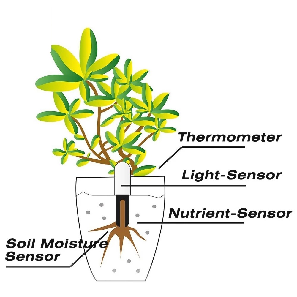 HHCC Çiçek Monitörü Flora Bahç - Plant Monitor incelemesi ve fiyatı