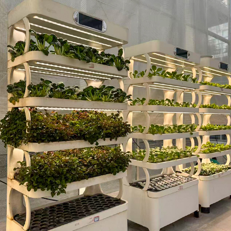 Akıllı İç Mekan Bahçe Saksısı  - Smart Garden System incelemesi ve fiyatı