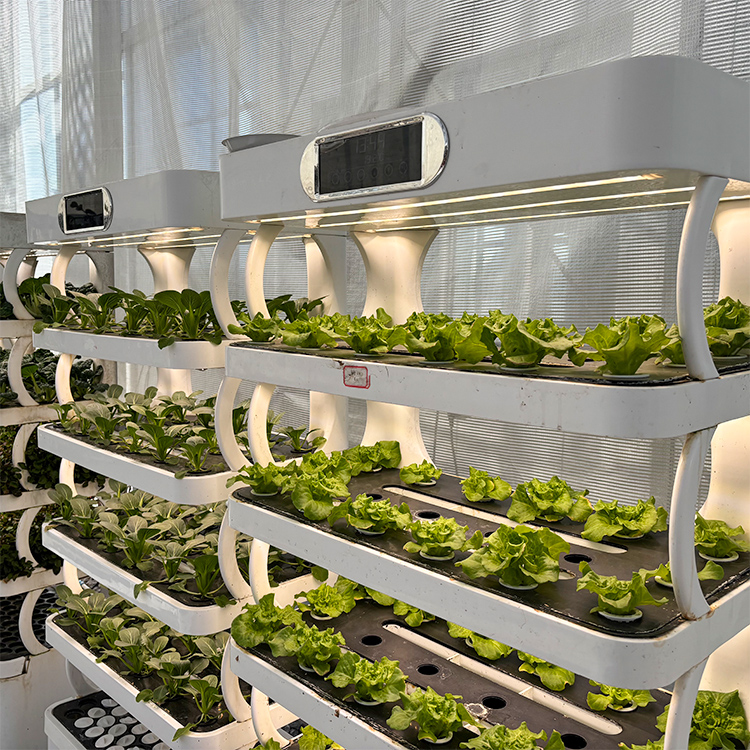 Akıllı İç Mekan Bahçe Saksısı  - Smart Garden System incelemesi ve fiyatı