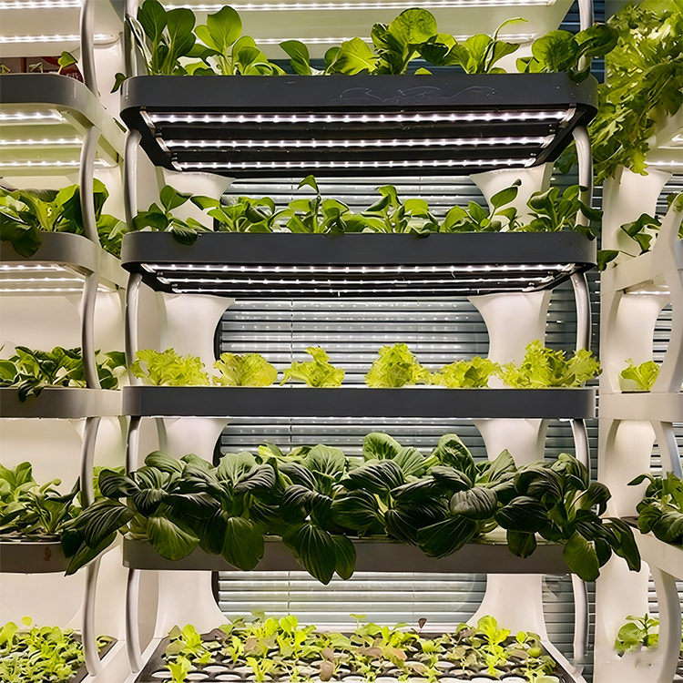Akıllı İç Mekan Bahçe Saksısı  - Smart Garden System incelemesi ve fiyatı